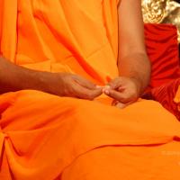 20100808_Photo_1109_DSC_6891_CMP_WM